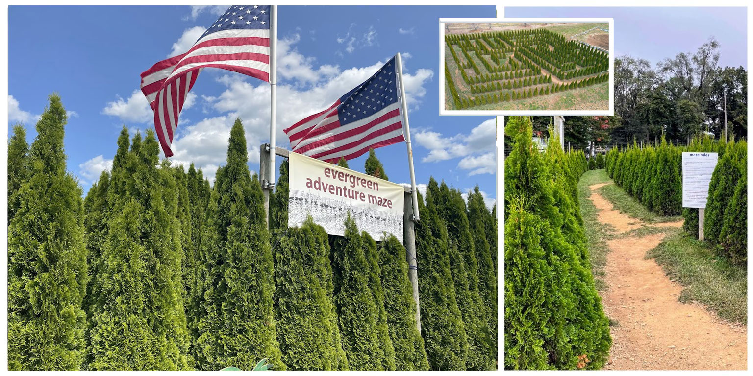 Alstede Farms Evergreen Adventure Maze