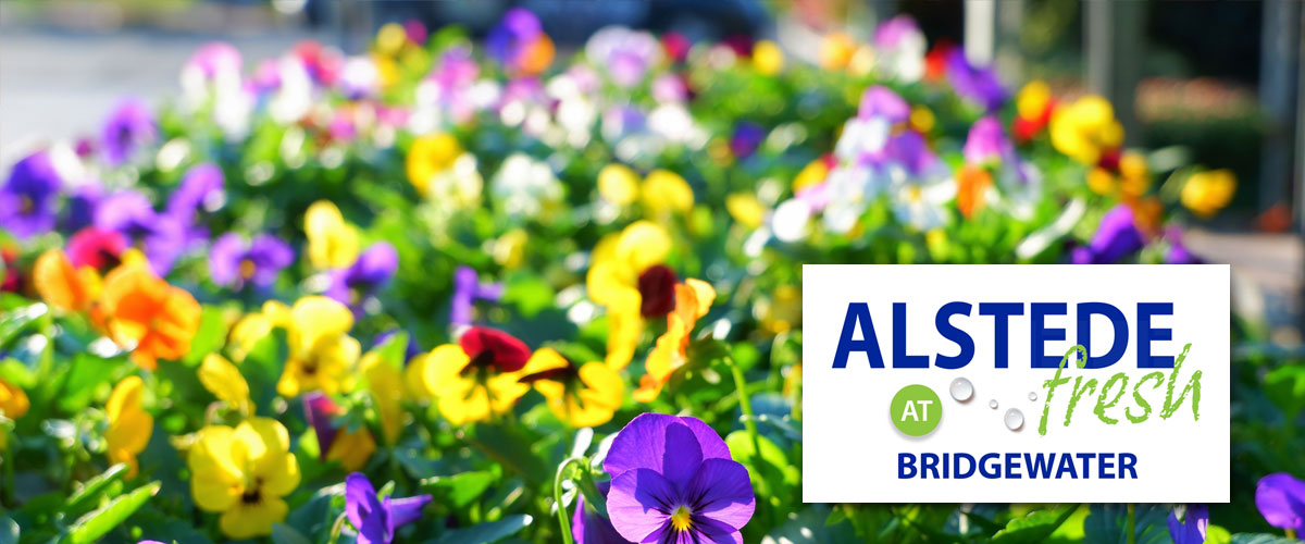 Alstede Fresh at Bridgewater